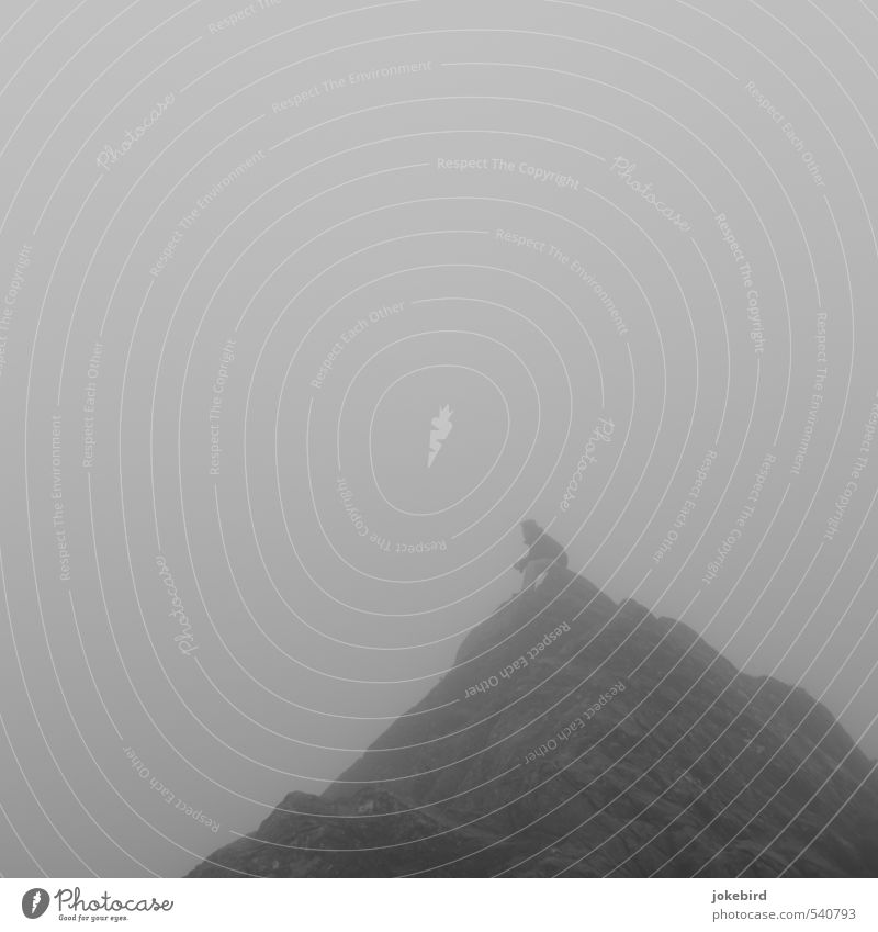 Der Denker Mensch 1 Nebel Felsen Gipfel Denken sitzen ruhig Einsamkeit Spitze Ferne nachdenklich Schwarzweißfoto Außenaufnahme Textfreiraum links
