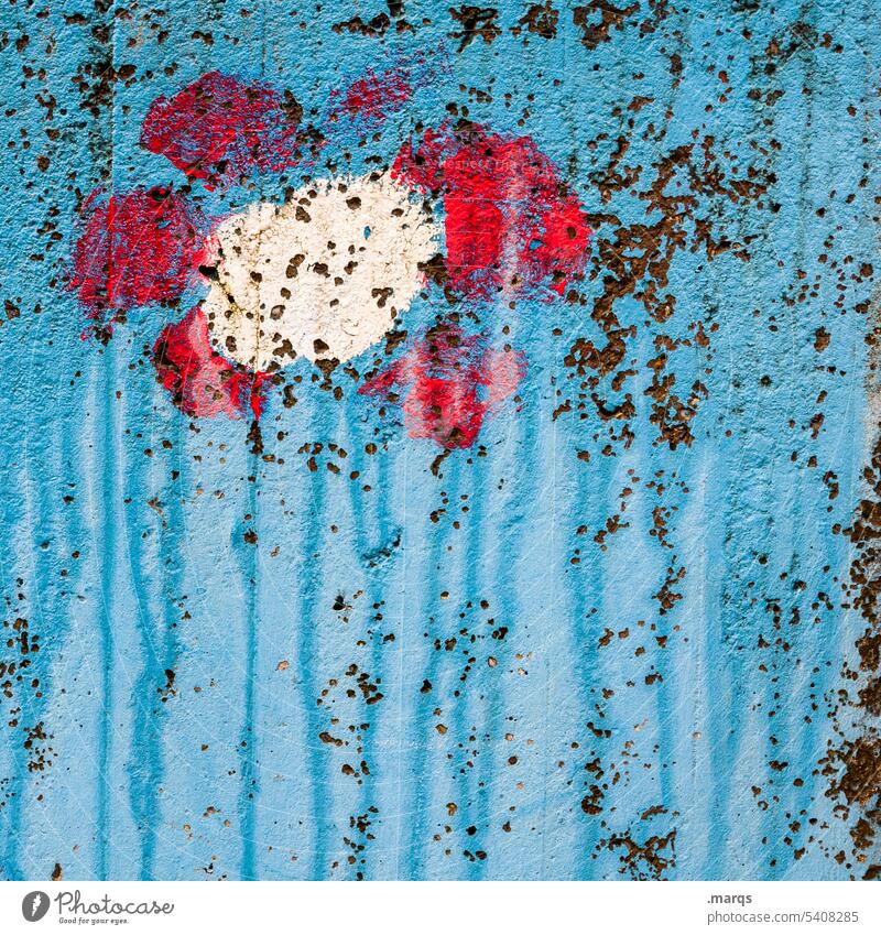 Blümchen Wandmalereien Graffiti rot Blume gemalt Symbole & Metaphern mehrfarbig streetart Beton Fröhlichkeit Blüte Muttertag Straßenkunst handgemalt blau nass
