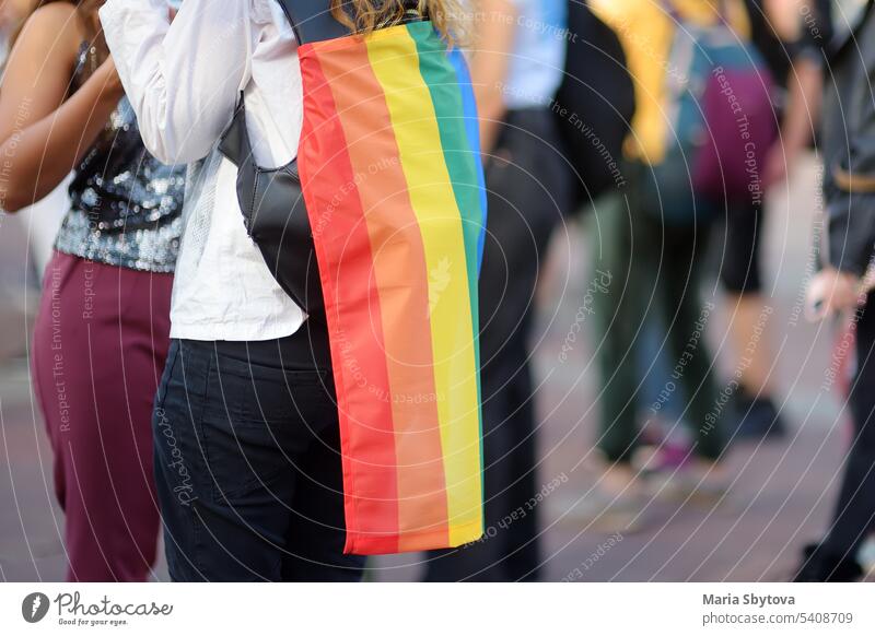 Rückansicht der Menschen Spalte während der Pride Parade. Crowd auf der Straße der Stadt mit lgbt Regenbogenflagge. lgbtq Stolz lesbisch Paar Umarmen Fahne