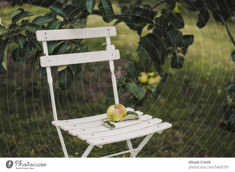 Apfel auf einem weißen Gartenstuhl Apfelernte Apfelsaison weiße Stühle Bistrostuhl Obstgarten Frucht Äpfel Apfelbäume Ernte Futter Obstbaum außerhalb Landleben