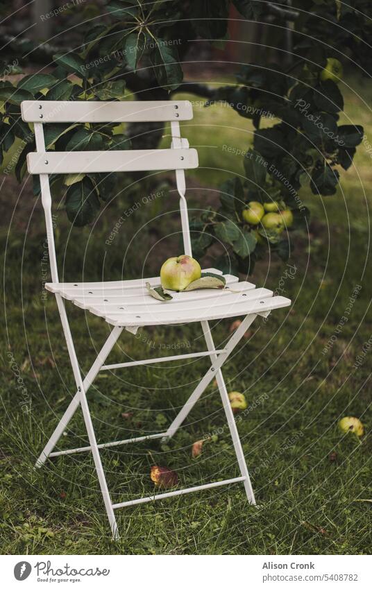 Weißer Gartenstuhl mit Apfel Obstgarten Ernte Apfelbäume Äpfel grüner Apfel Landleben Obstbaum Herbst weißer Stuhl Bistrostuhl französischer Stuhl