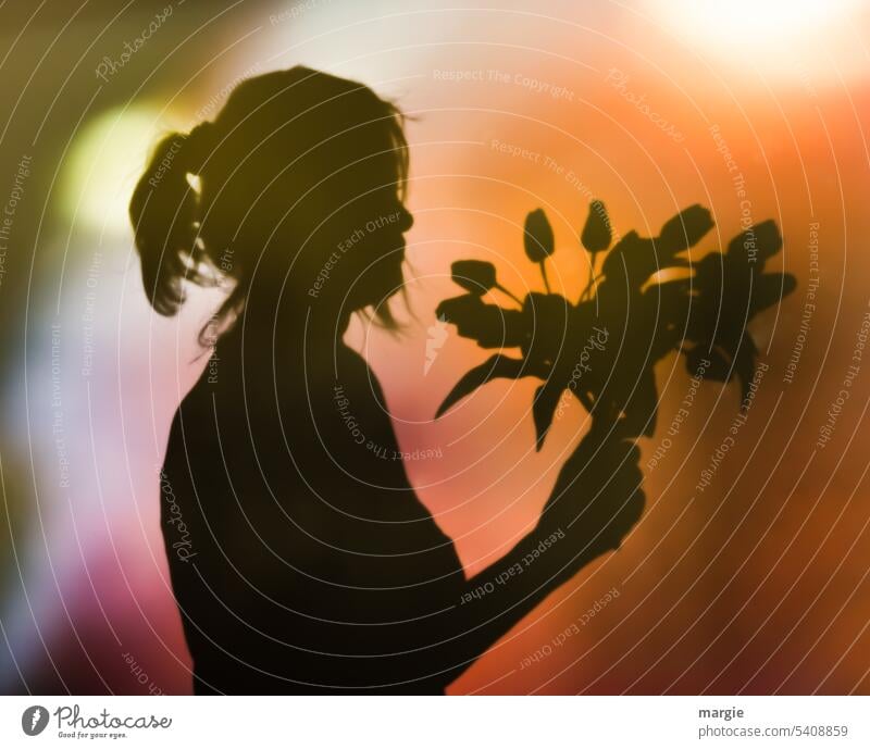 der Schatten einer Frau mit einem Blumenstrauß Porträt Licht Tulpen gratulieren Pferdeschwanz Mädchen Geschenk Muttertag Frühling Lichtstimmung Lichteinfall