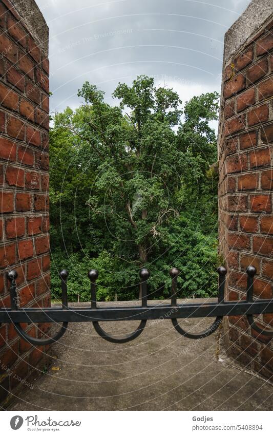 Blick zwischen zwei Ziegelmauern hindurch auf einen alten Baum im Wald Fort Turm historisch Tourismus Landschaft Gebäude Wahrzeichen reisen Architektur Festung
