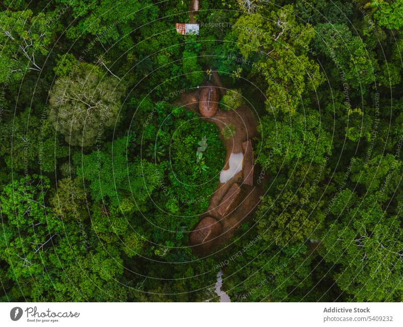 Luftaufnahme von Häusern im üppigen Regenwald Wald Teich Dorf Wohnsiedlung Gebäude Hütte Natur Strauch Baum Buchse Wasser Pflanze Umwelt Wälder grün vegetieren
