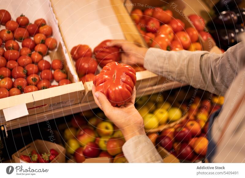 Anonyme Person, die im Supermarkt reife Tomaten auswählt Lebensmittelgeschäft Gemüse Verkäufer wählen Kasten Arbeit Laden Markt pflücken frisch Produkt Uniform