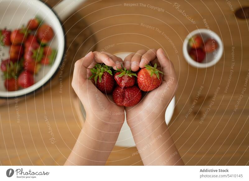 Kropfträger mit Erdbeeren in den Händen über einer Schüssel Person Schalen & Schüsseln Tisch Handvoll frisch reif Vitamin lecker Frucht natürlich organisch