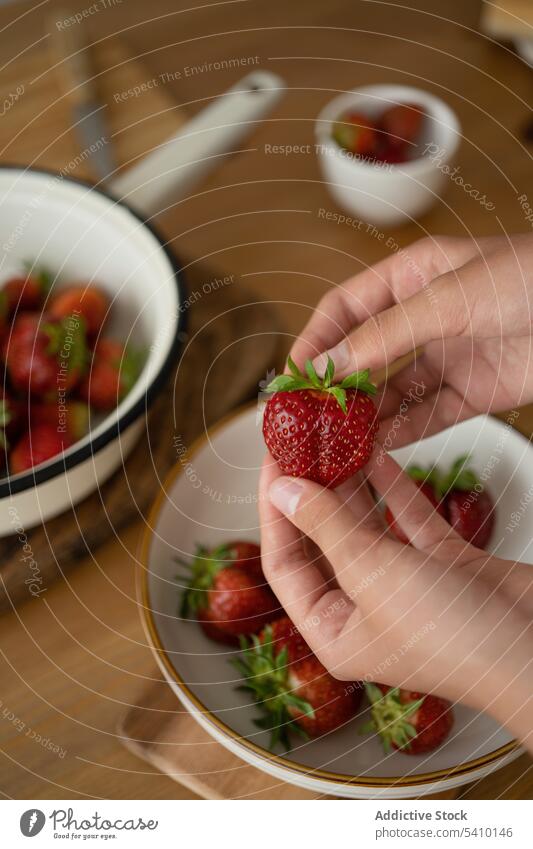 Kropfträger mit Erdbeere in den Händen über einer Schale Erdbeeren Person Schalen & Schüsseln Tisch Handvoll frisch reif Vitamin lecker Frucht natürlich