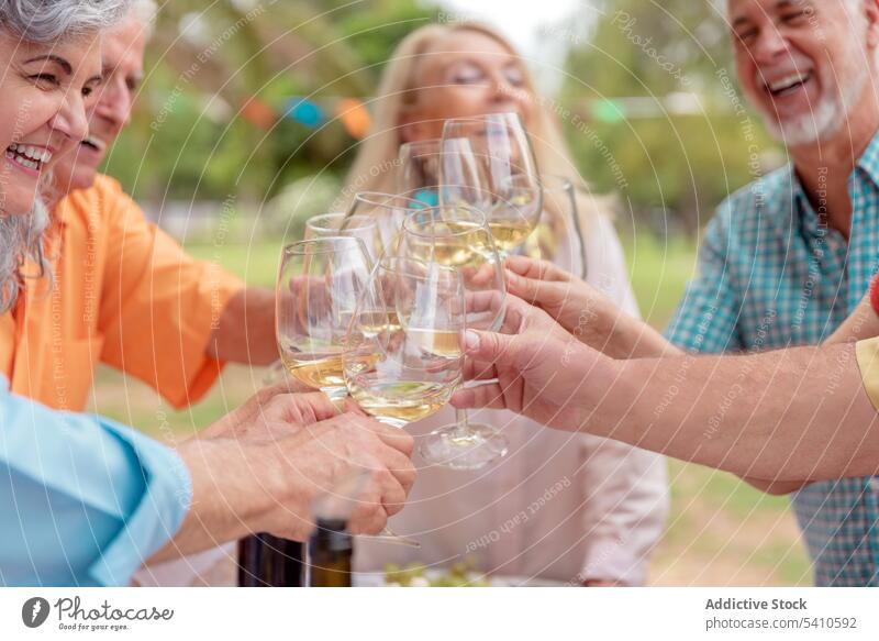 Gruppe von Freunden stößt mit Gläsern an Menschengruppe Geburtstag feiern Zuprosten Klirren jubelt trinken Alkohol gratulieren Park Zusammensein Lebensmitte