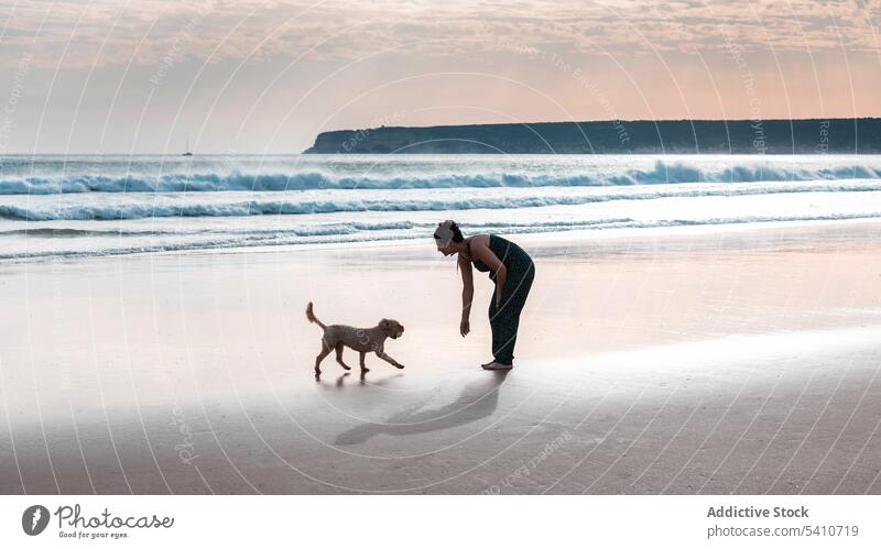 Unbekannte Frau spielt mit Hund am Sandstrand Haustier spielen Strand Besitzer Sonnenuntergang MEER Abend jung Ufer Wasser Eckzahn Natur Tier Sommer Küste