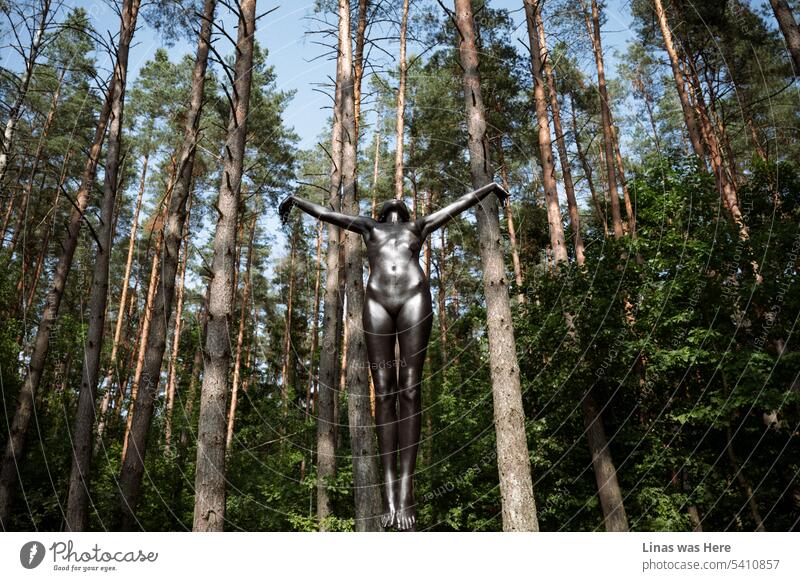 Ein seltsamer Anblick in diesen Wäldern. Ein Mädchen, dessen ganzer Körper schwarz bemalt ist, schwebt in der Luft. Sie macht eine Skulptur aus sich selbst. Etwas wie von einem anderen Planeten. Entführung durch Außerirdische.