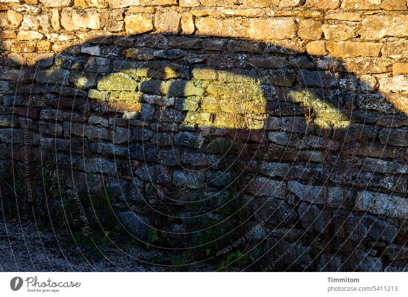 Sommerwarmer Autoschatten auf Klostermauer Wärme Schatten Licht Sonnenlicht hell Dunkel Kontrast Mauer Mauerstein Farbfoto Menschenleer Schönes Wetter