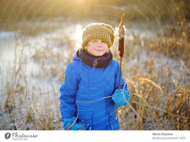Cute Vorschule Junge spielt auf dem Eis eines gefrorenen See oder Fluss auf einem kalten sonnigen Winter Sonnenuntergang. Kind hat Spaß mit Eiszapfen und trockenen Schilf Pflanze während Familie Wandern. Kinder Spiele im Freien