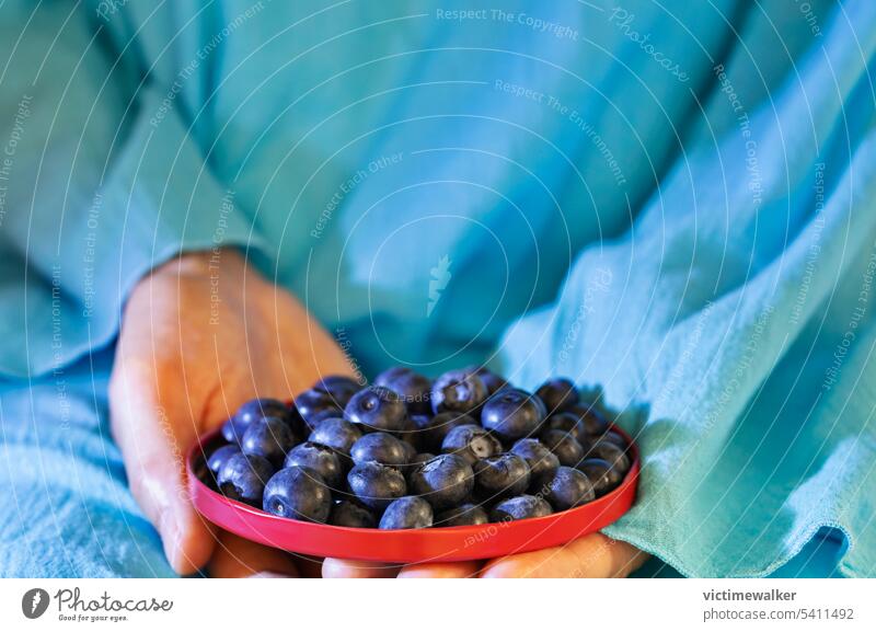 Teller mit Heidelbeeren Blaubeeren Frucht Lebensmittel Gesunde Ernährung Textfreiraum Studioaufnahme blaue Farbe verzehrfertig Antioxidans reif Ernte Ackerbau