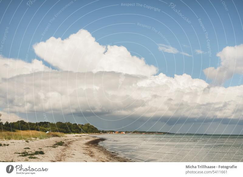 Wolkenformation über dem Ostseestrand Strand Dänemark Langeland Landschaft Natur Wasser Meer Himmel Küste Sand Wellen Wetter Ferien & Urlaub & Reisen Tourismus