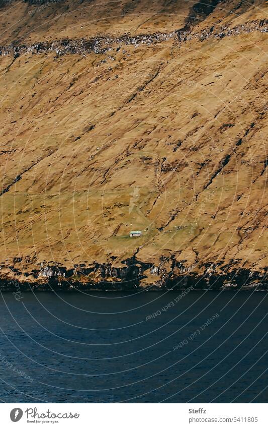 ein Häuschen auf der Steilküste der Färöer Inseln Haus Färoer Inseln Färöerinseln Färöer-Inseln Hügel Schafsinseln Größenunterschied Ufer steil Steilwand