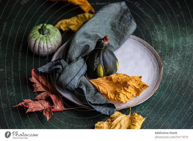 Herbstlich gedeckter Tisch vor dunklem Hintergrund herbstlich Einstellung Kulisse Serviette Teller Tischwäsche Geschirr Blatt farbenfroh klein Kürbis Schönheit