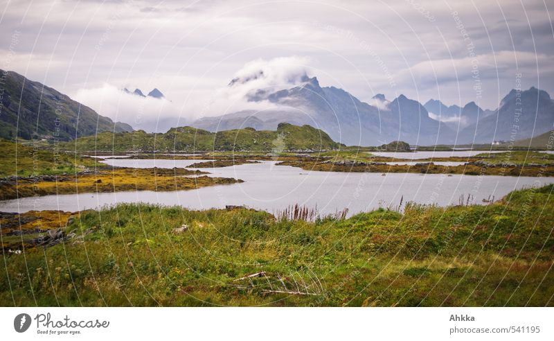 Stillleben Wolken Gras Sträucher Berge u. Gebirge Fjord Meer Stimmung friedlich trösten Gelassenheit Sehnsucht Fernweh Zufriedenheit Stress Fürsorge