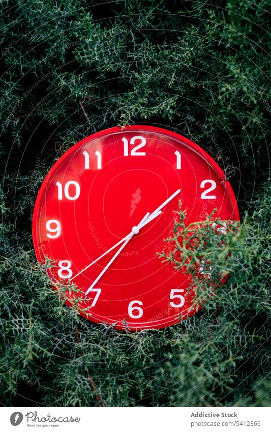 Rote Uhr auf grüner Wiese bei Tag rot Zeit Natur Stunde Alarm Minute rund Frist dringend Gras tagsüber Pflanze weiß Rasen Feld Saison Sommer zuschauen kreisen