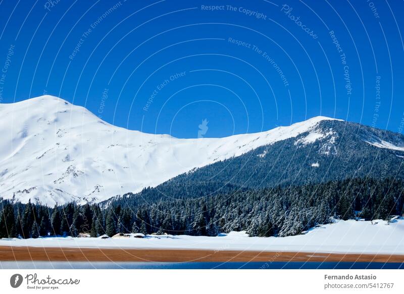 Berg mit Schnee und See. Malerischer Winter Sonnenuntergang in den Schweizer Alpen, Grindelwald. Die Schönheit der Natur als konzeptioneller Hintergrund. Kleine Flüsse und Nadelbäume spiegeln sich in einem ruhigen Alpensee.