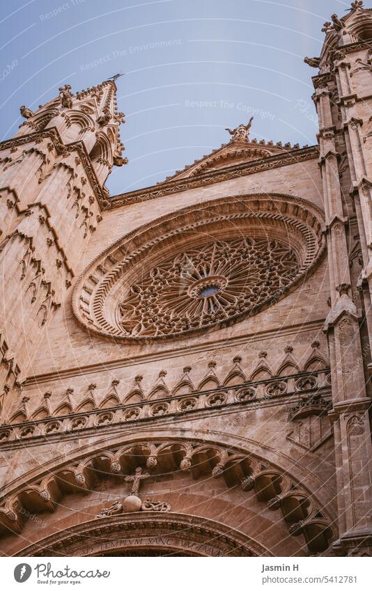 Ausschnitt der Kathedrale „La Seu“ Rosettenfenster Architektur Religion & Glaube Gotteshäuser Dom Kirche Wahrzeichen historisch Sehenswürdigkeit Bauwerk