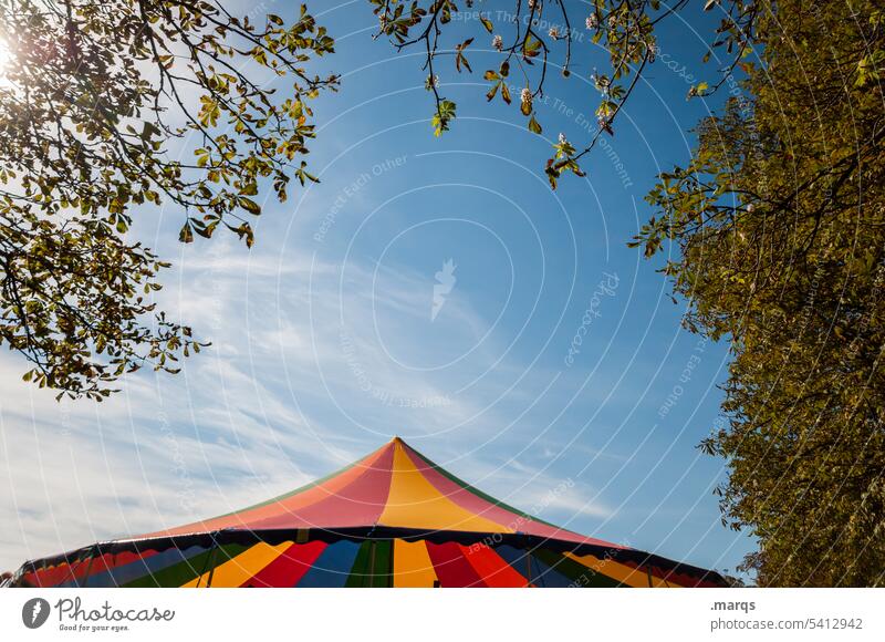 Buntes Sonnendach Sonnenschirm Spielzelt bunt rund Sommer Himmel Schönes Wetter Zweige u. Äste Zirkuszelt Dach Spielen Kindheit Pavillon