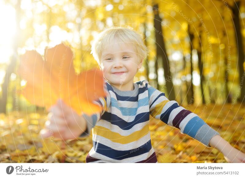 Close up Porträt von glücklichen kleinen Jungen während eines Spaziergangs im Wald an einem sonnigen Herbsttag Baby aktiv Lächeln Aktivität Tag gold Park hell