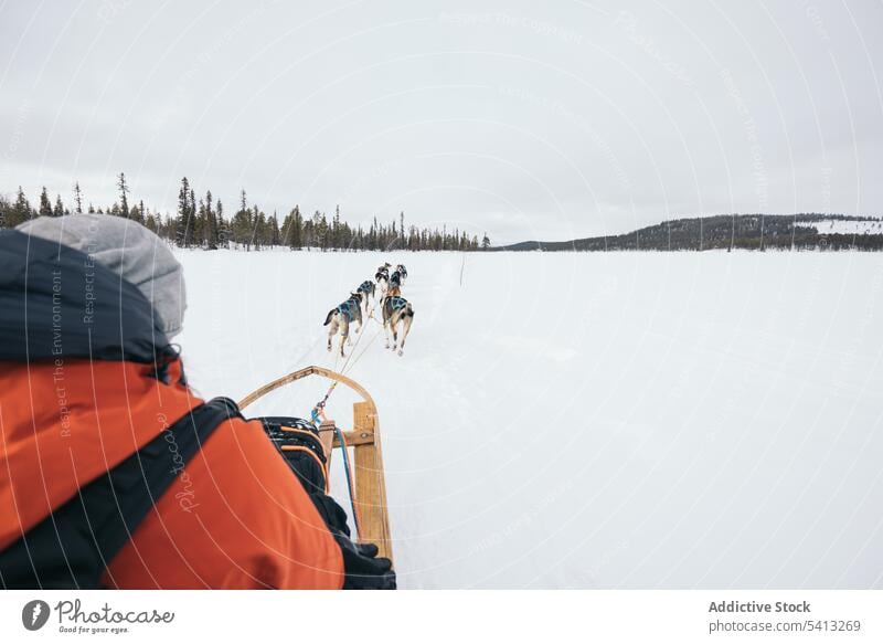 Touristenschlittenfahrt mit Schlittenhunden auf verschneitem Terrain Person Husky Hund Rodel Winter Natur Schnee Reisender reisen Finnland Besitzer Lappland