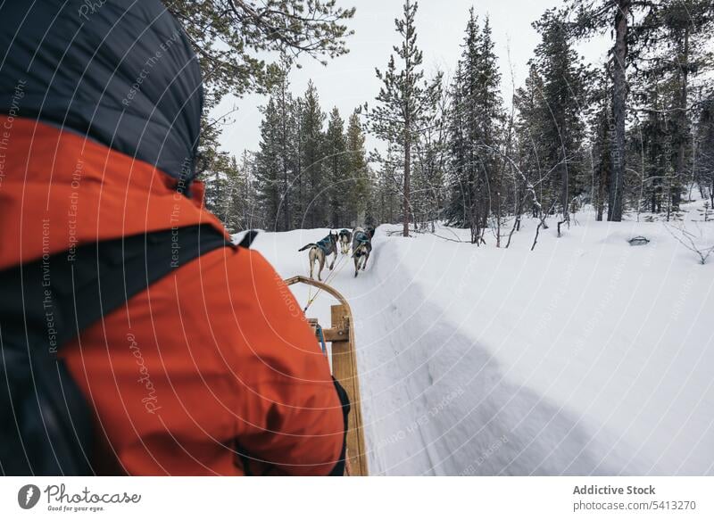 Touristenschlittenfahrt mit Schlittenhunden auf verschneitem Terrain Person Husky Hund Rodel Winter Natur Schnee Reisender reisen Finnland Besitzer Lappland