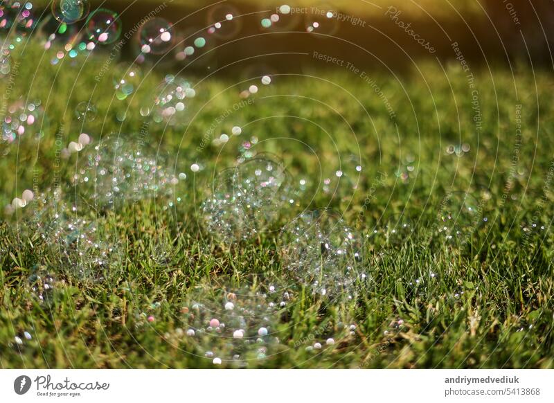 Bunte helle Seifenblasen auf Sommer natürlichen grünen Gras Hintergrund im Sonnenlicht. Frühling oder Sommerferienzeit. Symbol der glücklichen Kindheit, Reinheit, Ökologie.