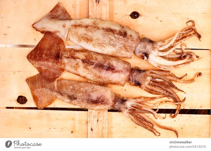 Fliegende Tintenfische auf hölzernem Hintergrund Fisch Octopus Lebensmittel Meeresfrüchte braun Kalamari Studioaufnahme Textfreiraum geschmackvoll lecker