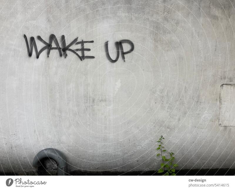 „WAKE UP“ an eine Fassade gesprüht Stadt Haus Architektur Gebäude Häusliches Leben Wand streetstyle streetart Street Art Streetlife Streetphotography