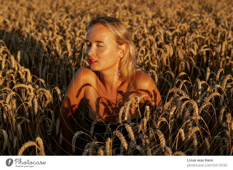 Ein Porträt dieses wunderschönen blonden Mädchens, das von einem warmen Sommerabendlicht erleuchtet wird. Eine goldene Stunde passt perfekt zu dieser Schönheit. Umgeben von goldenem Weizen fühlt sie sich einfach wohl.