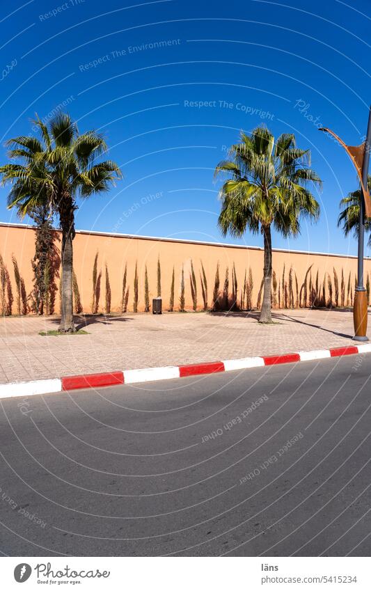 Palmenallee in Marrakesch Marokko Allee Straße Menschenleer Farbfoto Wege & Pfade Verkehrswege Kantstein