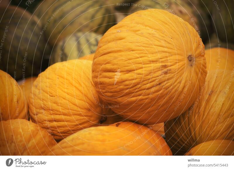 Kürbissuppe, in Vorbereitung. Ultimativer Tipp für den Kauf beiliegend. Böse Zungen behaupten, es wären Melonen. ,-) orange Gemüse Kürbiszeit Kürbisgewächse