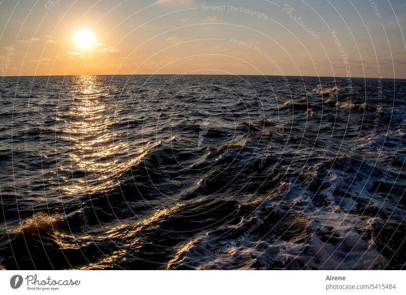 wild Sonnenuntergang Meer windig stürmisch Wellen Lichterscheinung dunkel maritim Kontrast Abend orange Sonnenlicht zeitlos Wasser Sonnenaufgang blau Urelemente