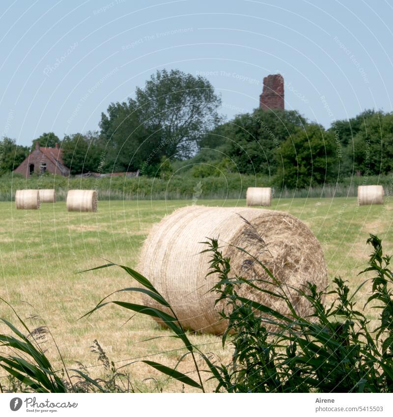 zurück zur Landwirtschaft Ballen Strohballen ländlich Ackerbau Heu Sommer Landschaft Feld abgeerntet Nutzfläche ordentlich landwirtschaftlich Rollen gerollt