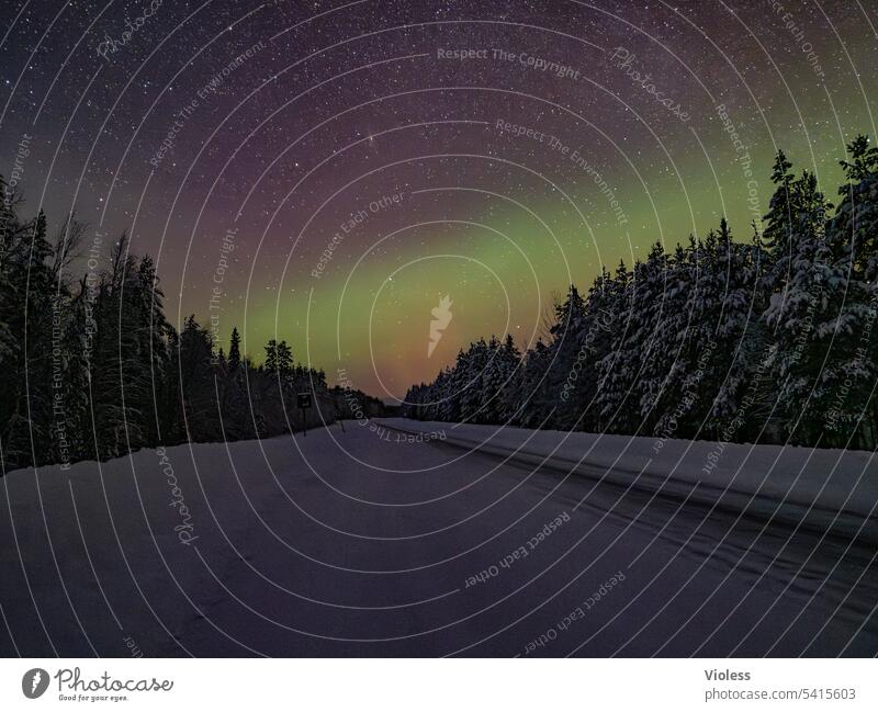 Ab in den Norden - Nordlicht in Schweden Polarlicht Aurora borealis Sterne Galaxie Schnee Schneelandschaft Milchstraße verschneit Kälte Nacht Tannen Polarkreis