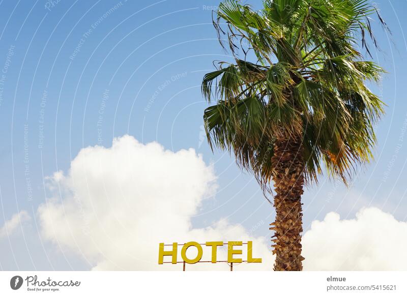 HOTEL in gelben Großbuchstaben und eine Palme vor blauem Himmel mit einer großen Schönwetterwolke Hotel Urlaub wohnen Unterkunft Ferien & Urlaub & Reisen Sommer