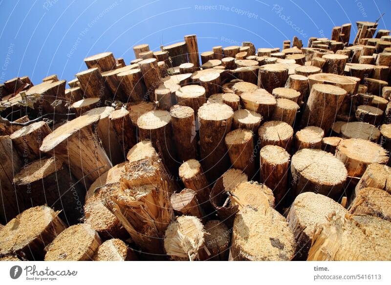 Holzlager Holzstämme Holzstapel Holzeinschlag Forstwirtschaft Haufen aufgeschichtet Himmel sonnig Natur Brennholz Nutzholz Abholzung gestapelt Brennstoff