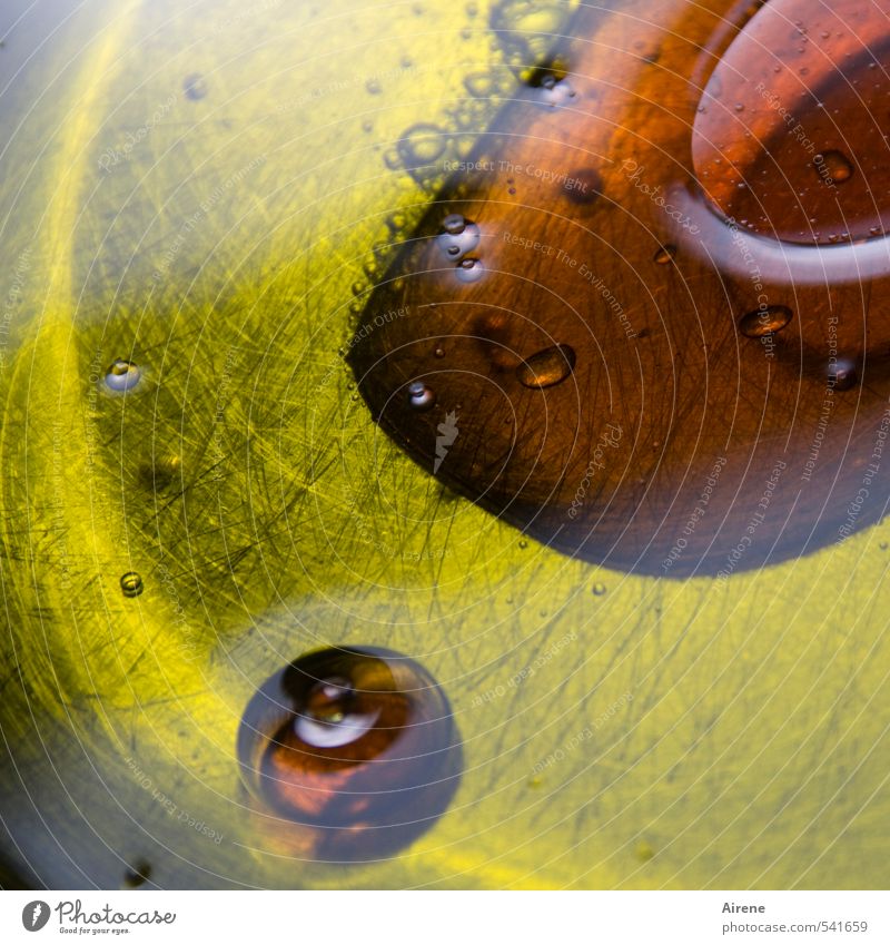 Fett.Säure. Lebensmittel Öl Essig Balsamico Vinaigrette Salatsauce Dressing Olivenöl Ernährung Vegetarische Ernährung Diät Italienische Küche Schwimmen & Baden