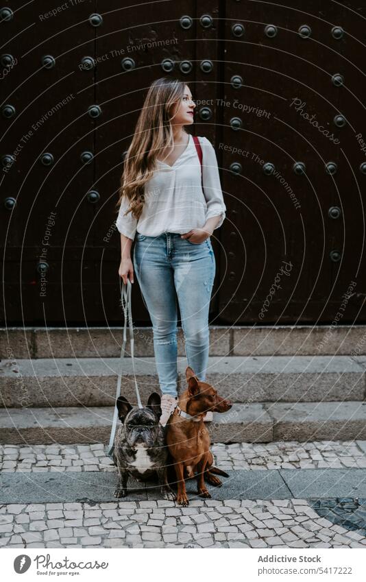 Stilvolle Frau mit Hunden auf der Straße stehend Zusammensein Bulldogge Jagdhund Besitzer Haustier Liebe Unternehmen Eckzahn Schönheit Ausdruck schön Tier