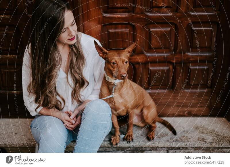 Frau mit reinrassigem Hund auf steinerner Veranda Stil Straße Zusammensein Haustier schön Freund Tier träumen Ausdruck Begleiter Liebe Besitzer Säugetier