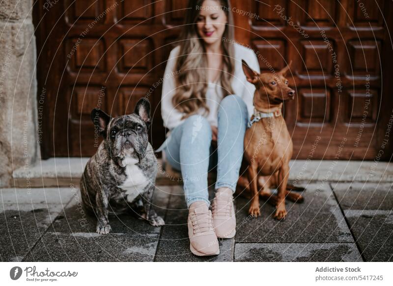 Stilvolle Frau mit Hunden auf der Straße sitzend Zusammensein Bulldogge Jagdhund Besitzer Haustier Liebe Unternehmen Eckzahn Schönheit Ausdruck schön Tier