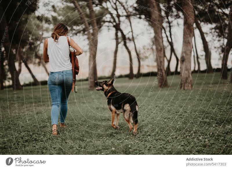 Niedlicher deutscher Schäferhund, der mit seinem Besitzer im grünen Park spazieren geht Straße bezaubernd Haustier Hund züchten Tier Großstadt niedlich