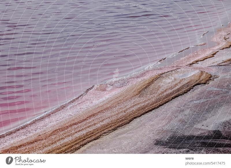 Salzverkrustete Steine und rosa Wasser in den Salinen bei Aigues-Mortes in der Camargue Camargue-Region camarque Canal du Midi Rhône-Kanal bei Sète Frankreich