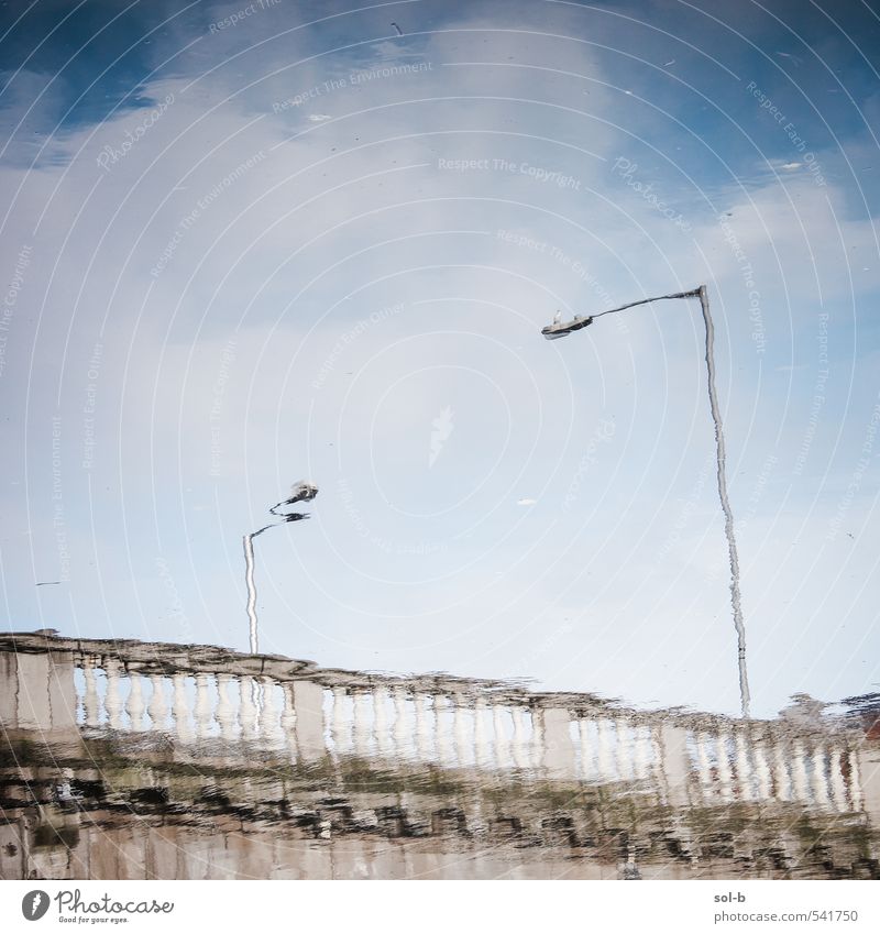 Straßenlaternen über eine Brücke Sightseeing Städtereise Natur Wasser Himmel Wolken Fluss Liffey Dublin Stadt Verkehrswege nass Originalität träumen