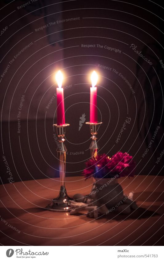 Candle Light Dekoration & Verzierung Kerze Holz Metall Duft Essen Feste & Feiern dunkel rot Gefühle Stimmung Warmherzigkeit Candle light Romantik Kerzenschein
