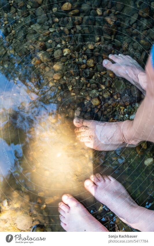 Ein Mann und eine Frau stehen barfuss in einem Bach. Draufsicht. Barfuß Wasser Sommer Abkühlung nass Beine Schwimmen & Baden Ferien & Urlaub & Reisen