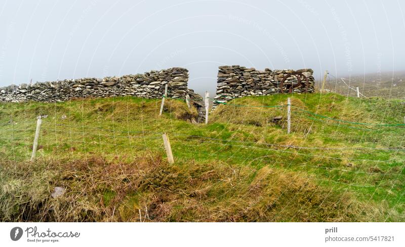Dingle-Halbinsel in Irland Republik Irland Grafschaft Kerry Landschaft Munster Wand Steinwand Zaun Trockensteinmauer Trockenbau Trockenmauer getrübt Gras