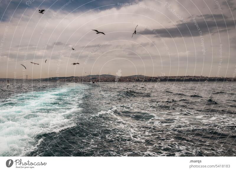 Schifffahrt am Bosporus Meer Möwe Wetter dramatisch Wolken Vogel Küste Istanbul Ferien & Urlaub & Reisen Wellen
